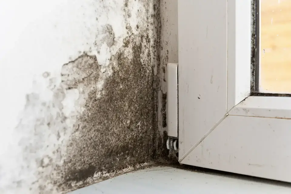 Restoring Properties and Peace of Mind After Sudden Floods — Irvine, CA