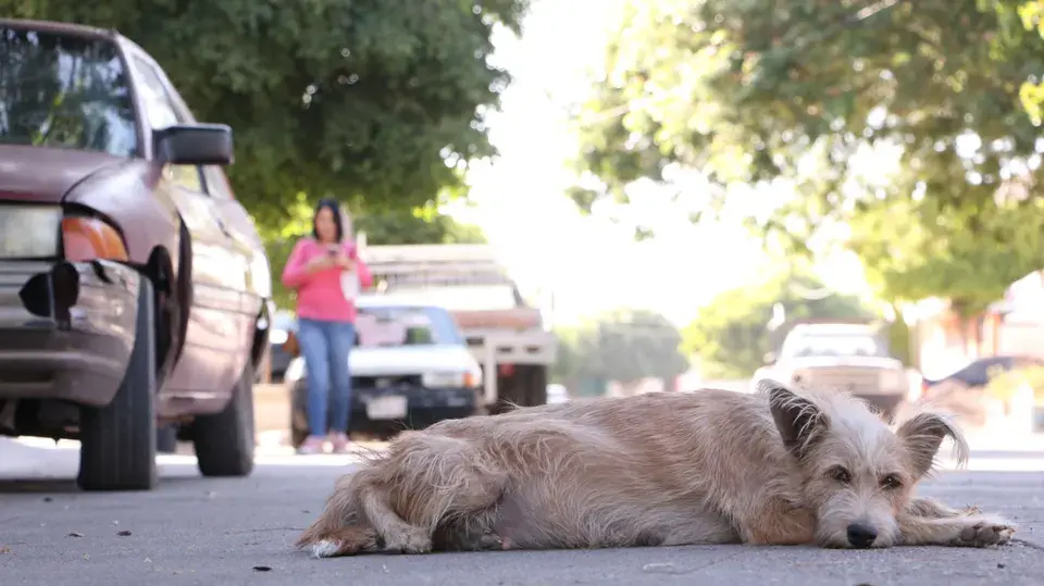 Water Damage Aliso Viejo
